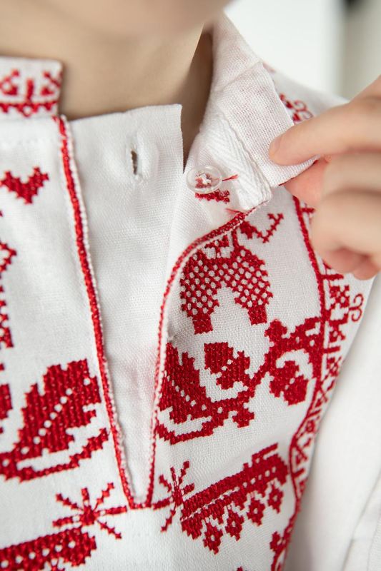 Вишиванка для хлопчика дитяча лляна Мужність 6301234 льон 116см біла з червоною вишивкою